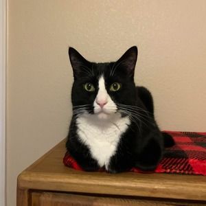 Meet your Posher, Jacki